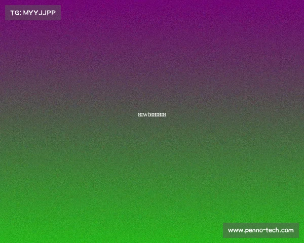 北京wb战队百度百科