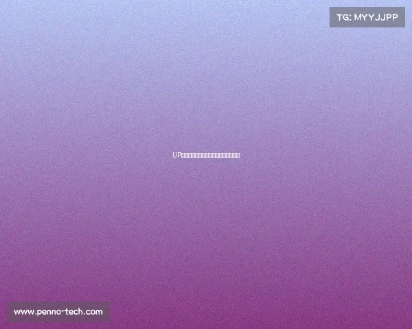 UP战队：从新生力量到百胜里程碑的征程